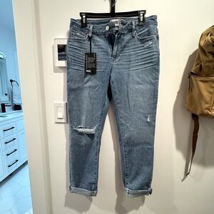 Paige Brigitte BF Skinny